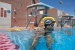 Schwimmerschnorchel Finis Freestyle