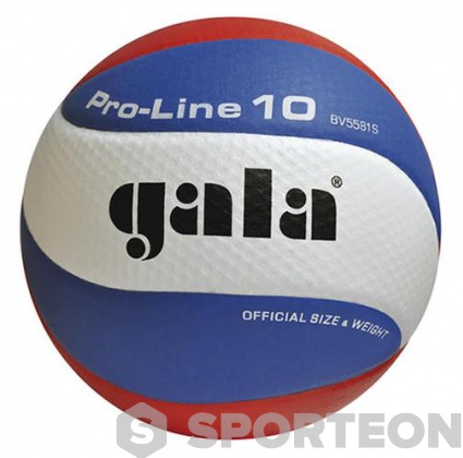 Volleyball Gala Pro-Line 10 BV 5581 S