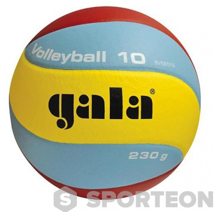 Volleyball Gala Volleyball 10 BV 5651 S 230g
