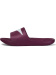 Damenpantoffeln Speedo Slide Female Berry Cool