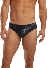Tyr Ison Brief Titanium Tyr Ison Brief Titanium