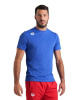 Arena Team T-Shirt Solid Royal